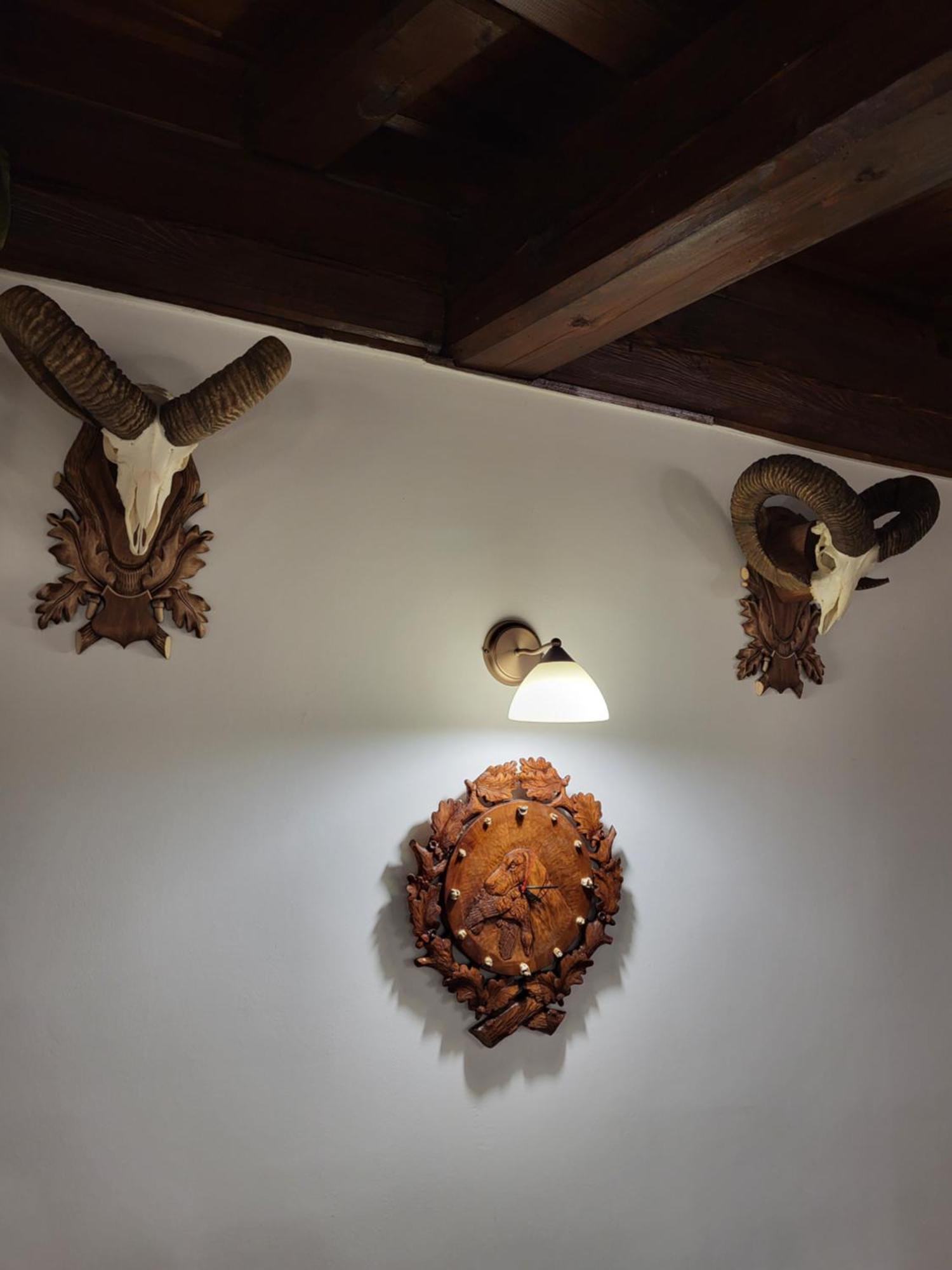 Senyoi Vendeghaz Bed and Breakfast Bozsva Εξωτερικό φωτογραφία